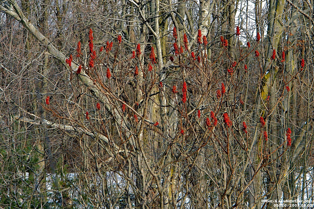 05020CrLeUsm - Family Ski Afternoon at Dagmar Resort